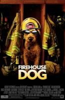 FirehouseDog.jpg